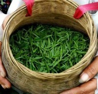 湖南麻将常见番数计算方法，新手也能轻松算分