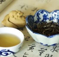 湖南麻将癞子玩法全解析，万能牌用法技巧揭秘