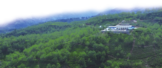 跑得快游戏地域玩法差异，不同地区的特色规则