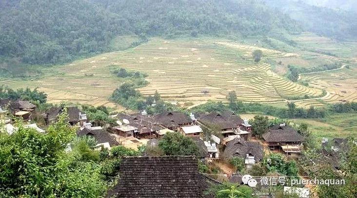 东北麻将高番牌型技巧，轻松胡出清一色、七对，赢麻全场