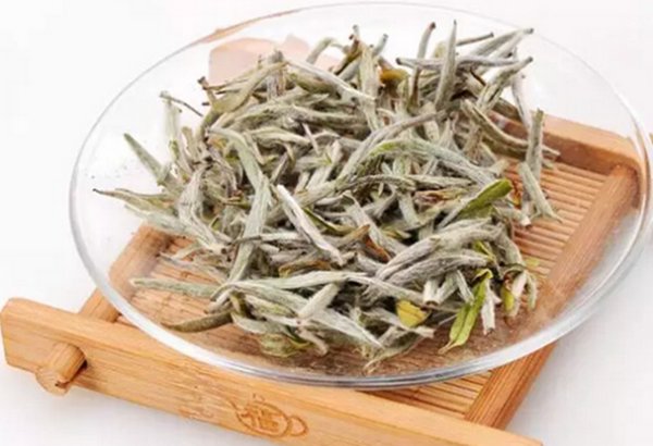 新手必看！街机捕鱼入门技巧，轻松上手不踩坑