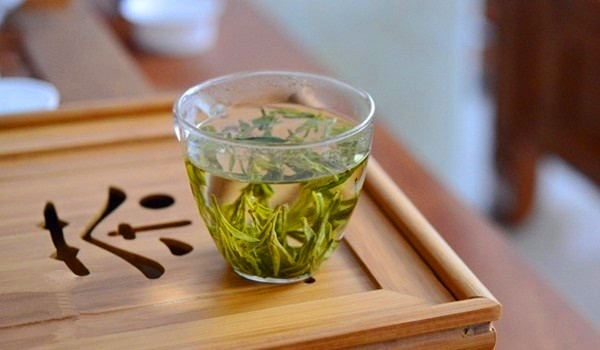 策略捕鱼入门全攻略，新手零基础快速上手不踩坑