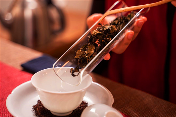 竞技捕鱼新手必学技巧，少走弯路，快速提升对战胜率