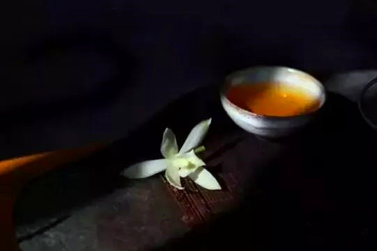 竞技捕鱼常见误区盘点，避开这些坑，积分暴涨胜率翻倍