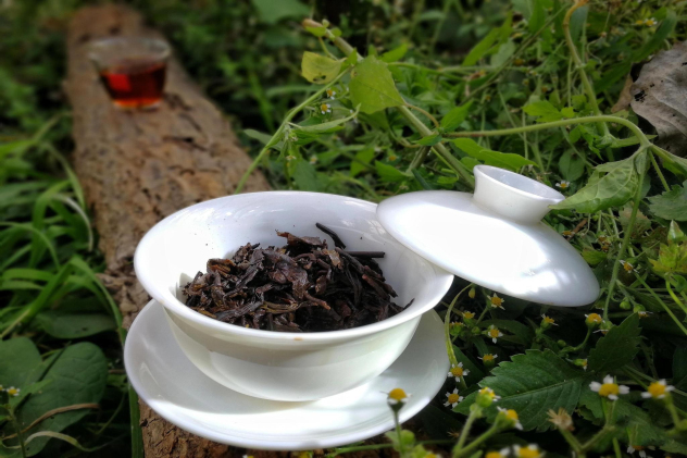 线上象棋游戏怎么玩？超详细教程，随时随地轻松对弈