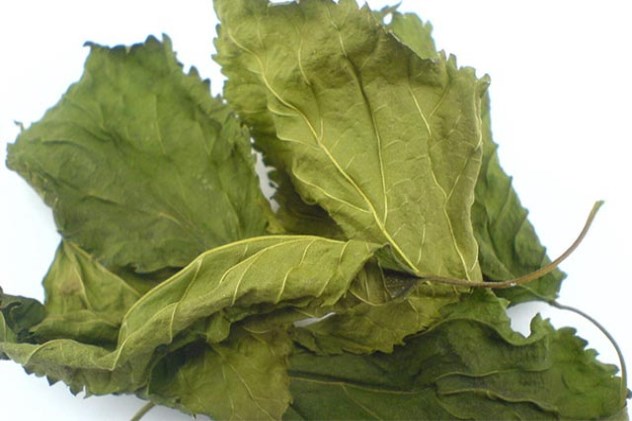 街头象棋游戏揭秘，趣味玩法与避坑指南全解析